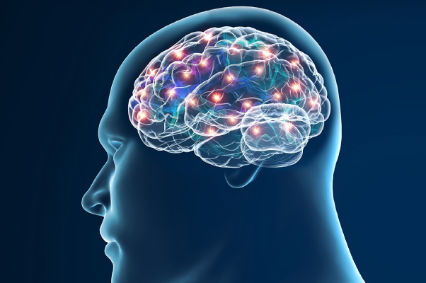 Enhancing Brain Function with Neurofeedback Therapy: The How and Why